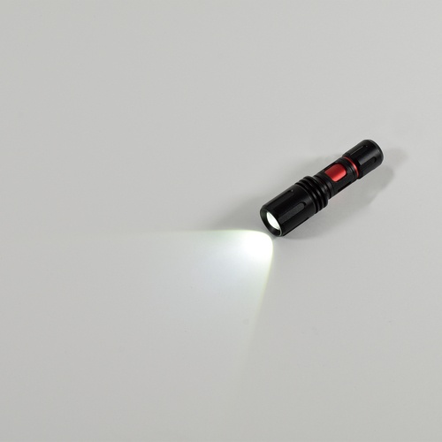 NICHIDO フォーカスLEDライト アンタレス 電池式 2W 屋外型 昼光色 140Lm【SL-2F】