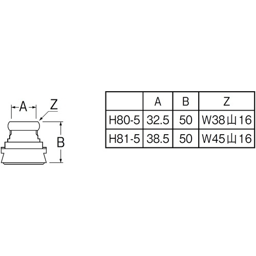 SANEI 大便器スパッド【H81-5-38】