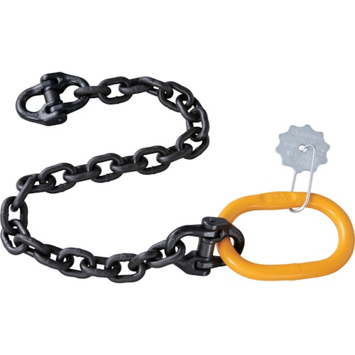 スーパー チェーン付スーパーロックフックセット 容量:2ton 全長:1344mm【SLH2NC】