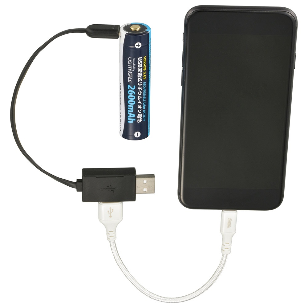 USB充電式リチウムイオン電池 18650形 2600mAh【BTJ-1865026-LIT】
