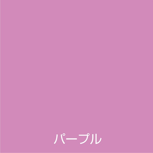 アトムペイント 水性スプレー 300ML パープル【00001-09530】