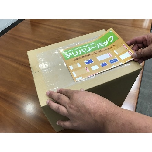 パピルス デリバリーパック 4方溶着タイプ 上PEスリット(A5サイズ用)175×260 100枚入 全面糊【PA-055T】