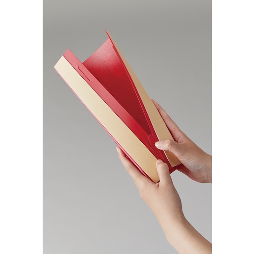 緑十字 消防標識 消火器 組立式三角柱タイプ FR-E 赤 270×90mm【66035】