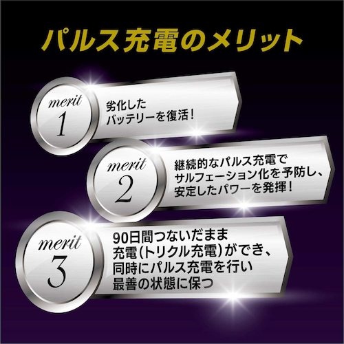 Meltec 全自動パルス充電器【MP-220】