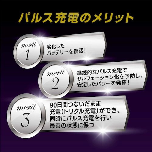 Meltec 全自動パルス充電器【MP-210】
