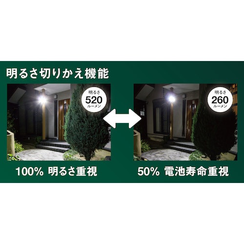 RITEX 4.5W×2灯 乾電池式シンプルスタイルセンサーライト【LED-CY260】