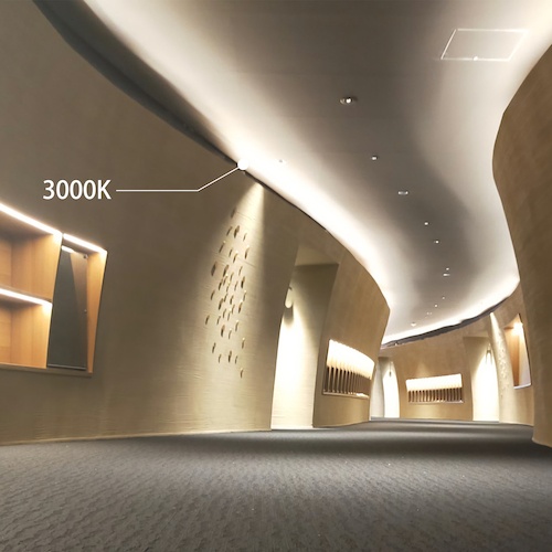 tlight LEDテープライト Viewdi Plus DC24V 16.6mmP 5000K 4m巻【TLVD+502-16.6P-4】