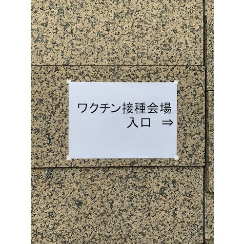 TRUSCO 貼るプッシュピン ワッポン 無地 10枚入【HPSP-480】