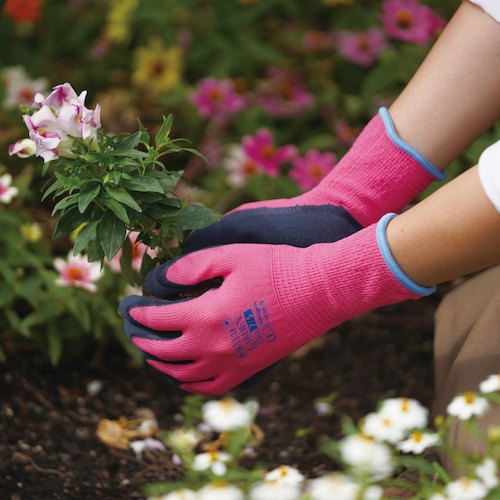 トワロン 天然ゴム背抜き手袋 WithGardenフローラ サンシャインオレンジ 8/M【W318-M】