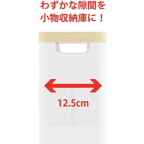 不動技研 スマートワゴンFit WT45-5段 W F2541【13237】