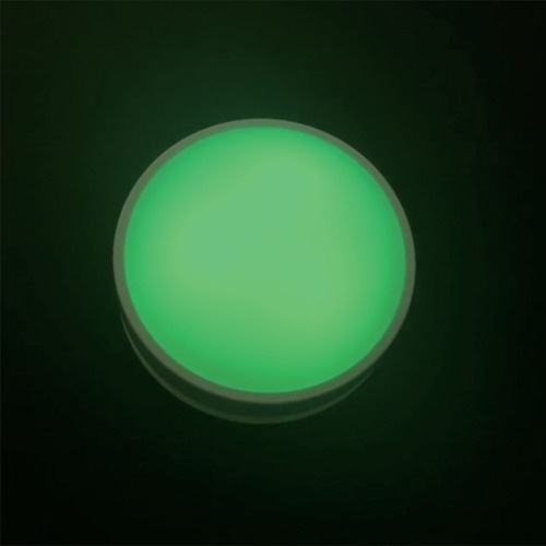REVEX 増設用 受信LEDライト【XP120】