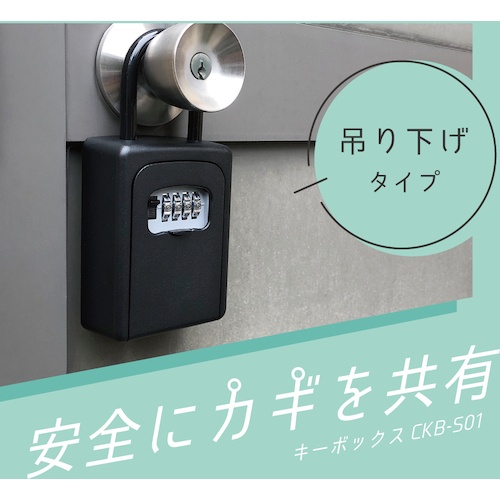 カール キーボックス(吊り下げタイプ) ブラック【CKB-S01-K】