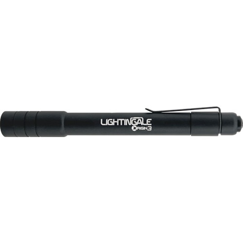 ライティンゲイル LEDハンディフラッシュライト・単4形2本【LTG1003】