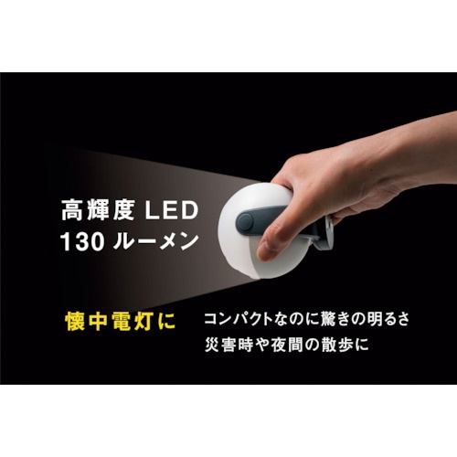 RITEX 充電式どこでもセンサーライト【ASC-900】
