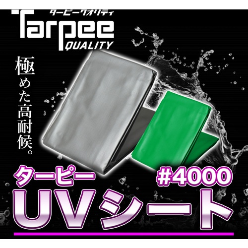 萩原 ターピー UVシート #4000 グリーン 5.4m×7.2m【UV4000-GR5472】