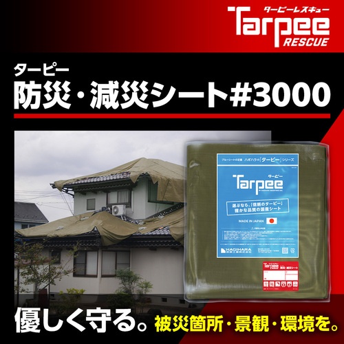 萩原 ターピー 防災・減災シート#3000 ODグリーン 10m×10m【BOUSAI-OD1010】