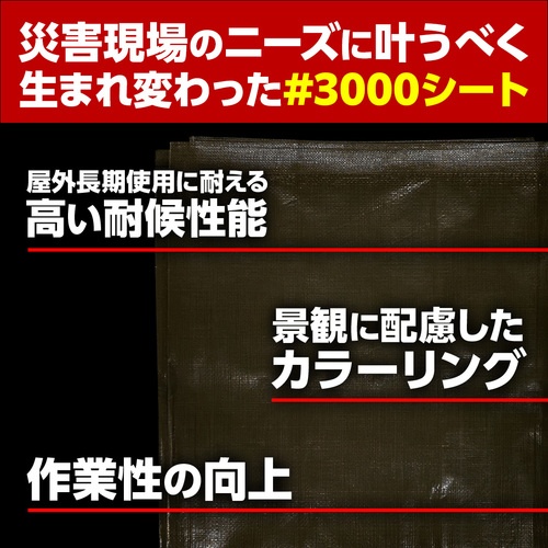 萩原 ターピー 防災・減災シート#3000 ODグリーン 5.4m×5.4m【BOUSAI-OD5454】