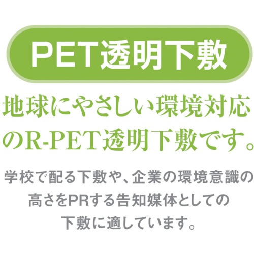 共栄プラスチック PET透明下敷 B5【P-8010】