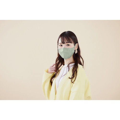 IRIS 296472 DAILY FIT MASK 立体 ふつうサイズ 30枚入 ピスタチオ【RK-F30SXA】