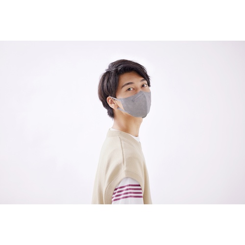 IRIS 296474 DAILY FIT MASK 立体 ふつうサイズ 30枚入 ニュアンスグレー【RK-F30SXH】