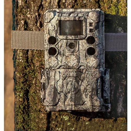 Bushnell トロフィーカムXLT30MPノーグロウSC4K【119949C】