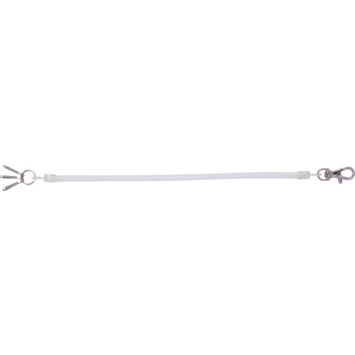 レイメイ コイルキーチェーン(100cm)トウメイ【GLK301T】