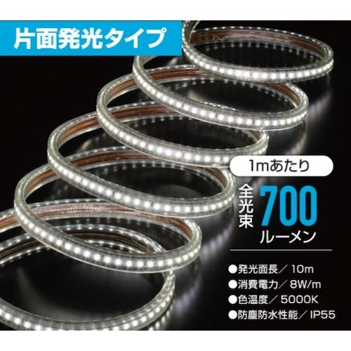 ハタヤ LEDテープライトR片面【RLTP10】