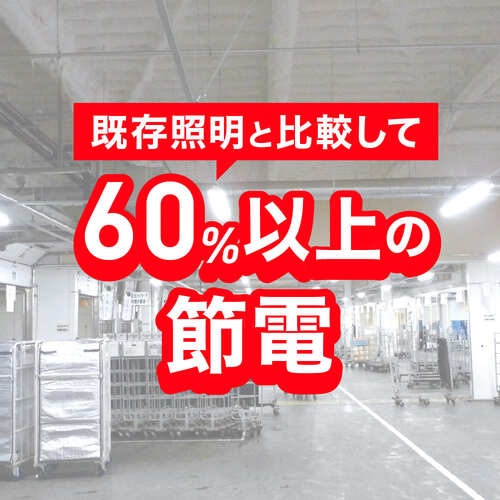 ecorica 直結専用 直管形LEDランプ 高出力40形 昼光色(6500K)タイプ【ECL-LD40FAD】