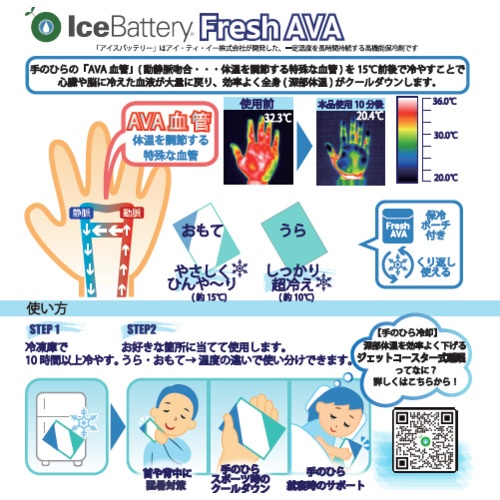 アイ・ティ・イー アイスバッテリーフレッシュAVA(保冷ポーチ付き)【IBF-A01】