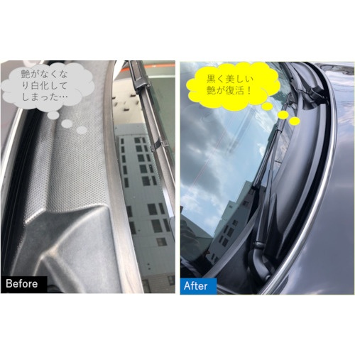 ビアンコ ビアンコート 車の樹脂パーツ復元ガラスコーティング(ブラック)100ml【BC-101CR-V】