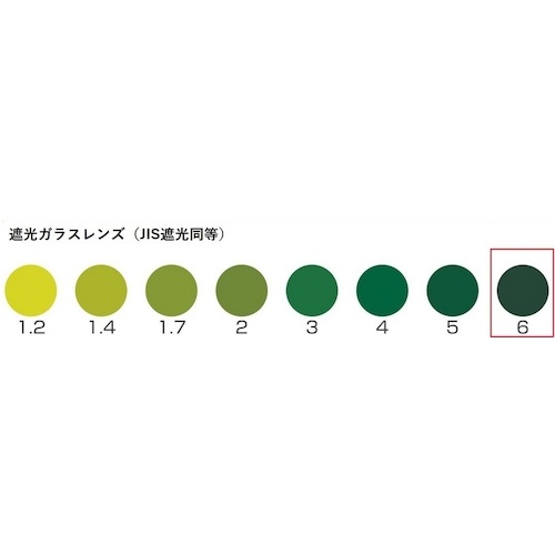 TOA BOJIN コンパクト(カニ目)ヘルメット取付遮光めがね 303 No.6【303 NO.6】