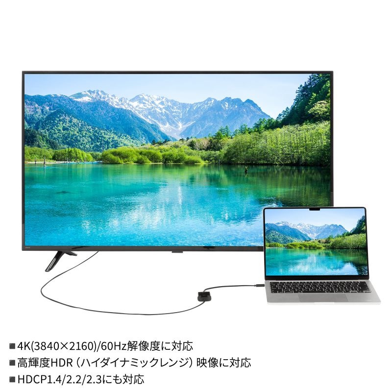 USB Type C-HDMI変換アダプタ(4K/60Hz/HDR/簡易パッケージ版)【AD-ALCHDR04TK】