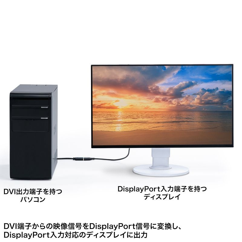 DVI-DisplayPort変換アダプタ(4K/30Hz)【AD-DVDP01】