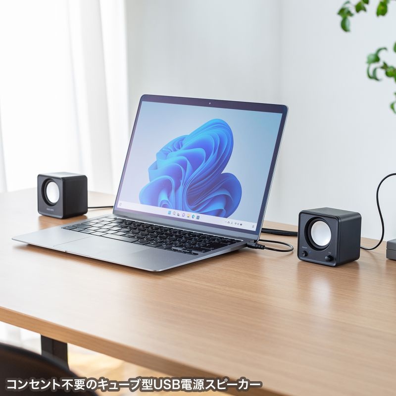 コンパクトPCスピーカー(USB電源)【MM-SPL23UBK】