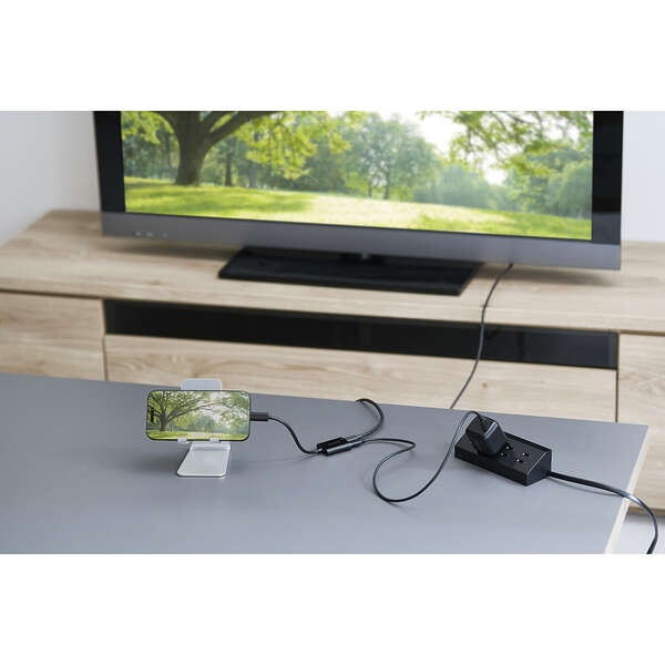 Type-C映像変換アダプタ/TypeC-TypeC×2/4K60Hz/10Gpbs/ブラック【MPA-C2CPD100BK】