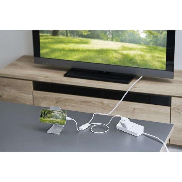 Type-C映像変換アダプタ/TypeC-TypeC×2/4K60Hz/10Gpbs/ホワイト【MPA-C2CPD100WH】