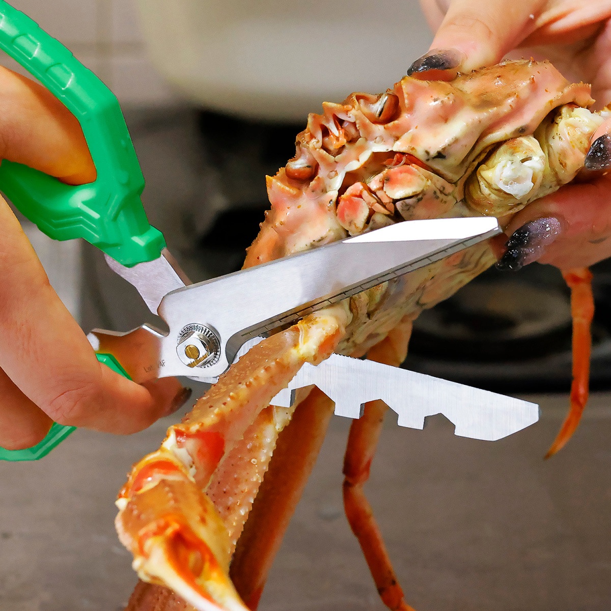 おりこうなハサミ【PH-97】