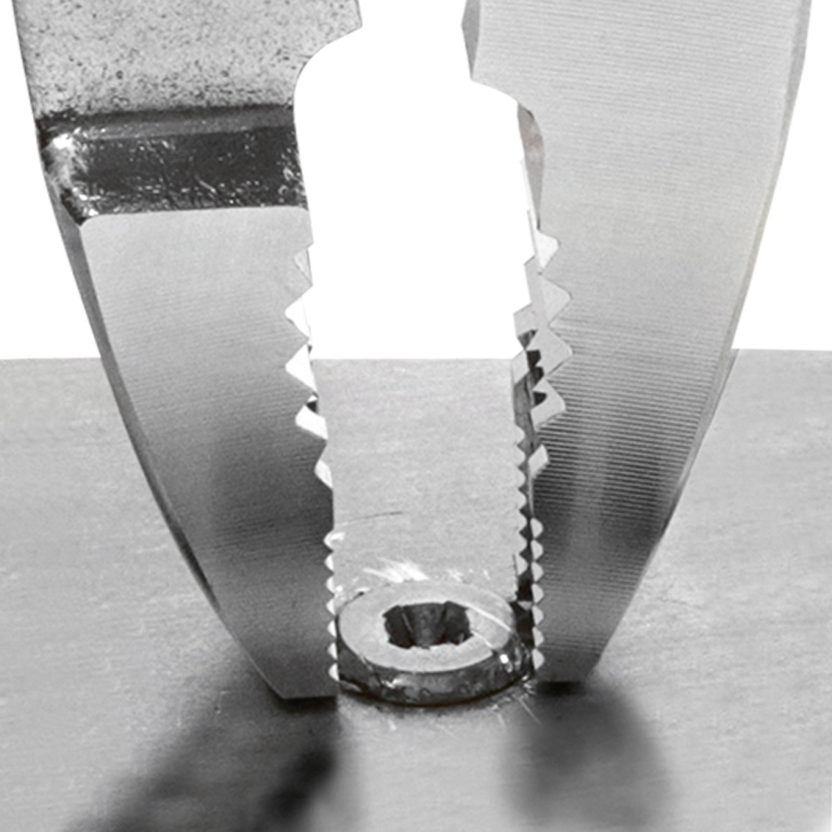 ネジザウルスCP【PZ-54】