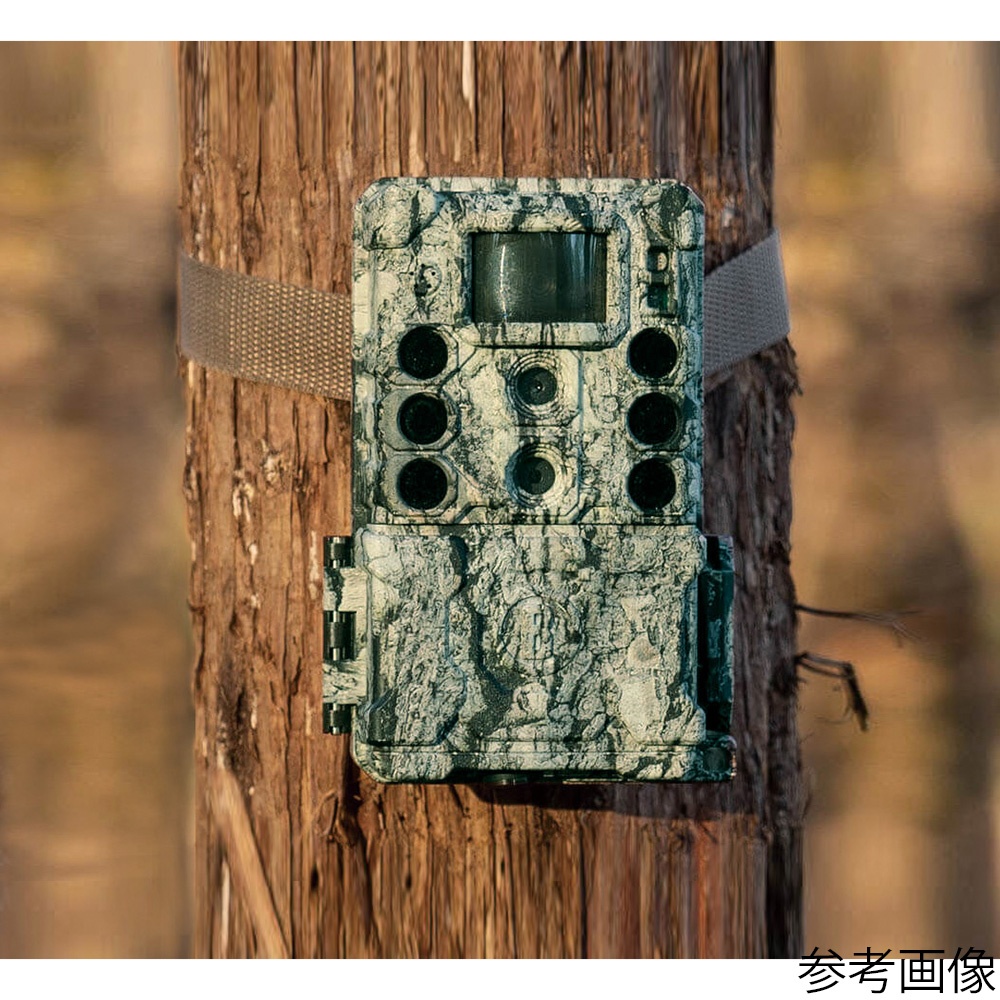 トロフィーカムXLT30MPノーグロウSC4K【119949C】