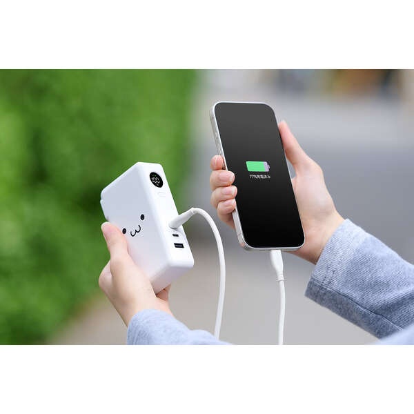 AC充電器一体モバイルバッテリー(10000mAh/67W/C×2+A×1)【DE-AC13-10000WF】