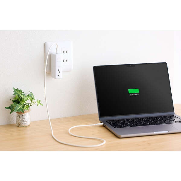 AC充電器一体モバイルバッテリー(5000mAh/30W/C×1+A×1)【DE-AC14-5000WF】