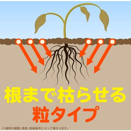 アース 除草剤 おうちの草コロリ 粒タイプ900g【063311】
