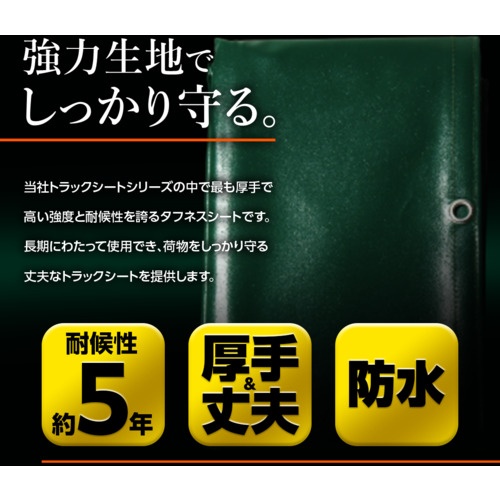 萩原 ターピー エステル帆布トラックシート W-2号 グリーン 2.1m×2.3m【EH-W2】