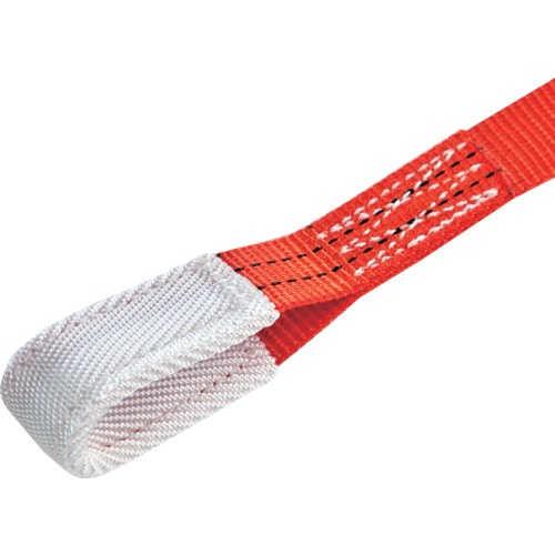 TRUSCO ベルト荷締機 25mm幅 127kg アイタイプ JIS規格品【GV25A-125R】