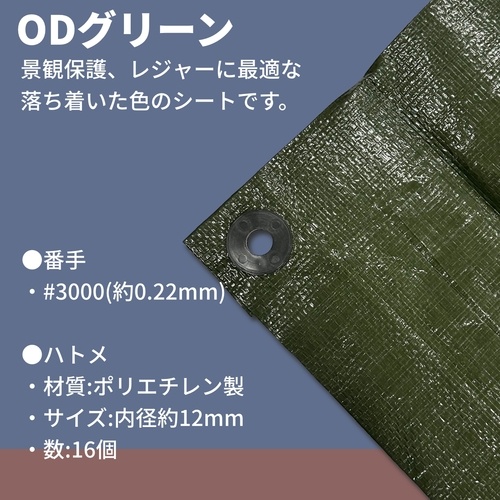 #3000 ODグリーンシート 3.6mx3.6m【OGS-09】