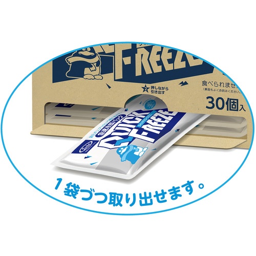 サンケイ 冷却材 常備設置用クイックフリーズ ミニ HE 30個入り【S3877-21T】