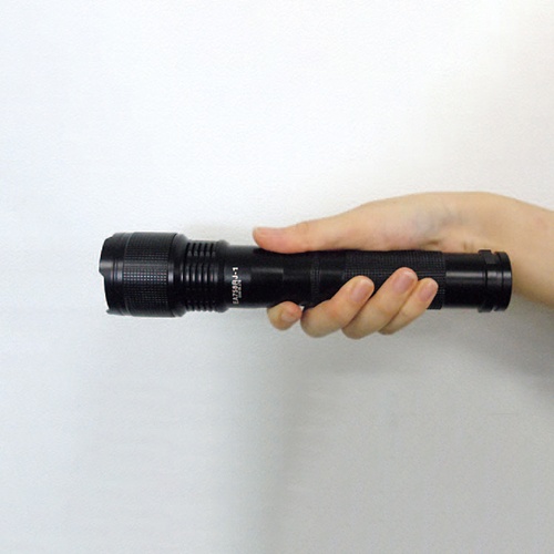 [単2x2本] フラッシュライト/LED(黒)【EA758RJ-1A】