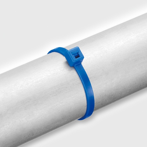 100x2.5mm 結束バンド(耐熱・耐候・耐薬/100本)【EA475FX-10】