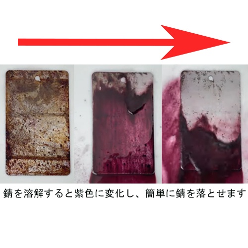 250g 即効性強力錆取り剤【EA920F-10】