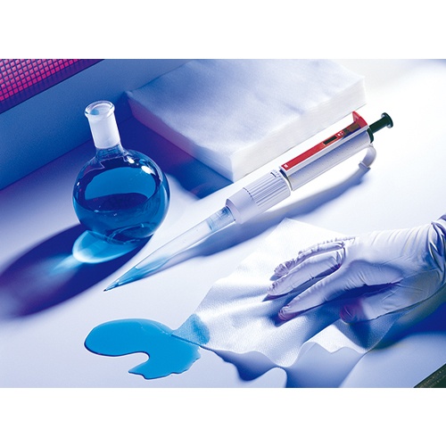 250x250mm 工業用ワイパー(クリーンルーム/100枚)【EA929AR-14A】